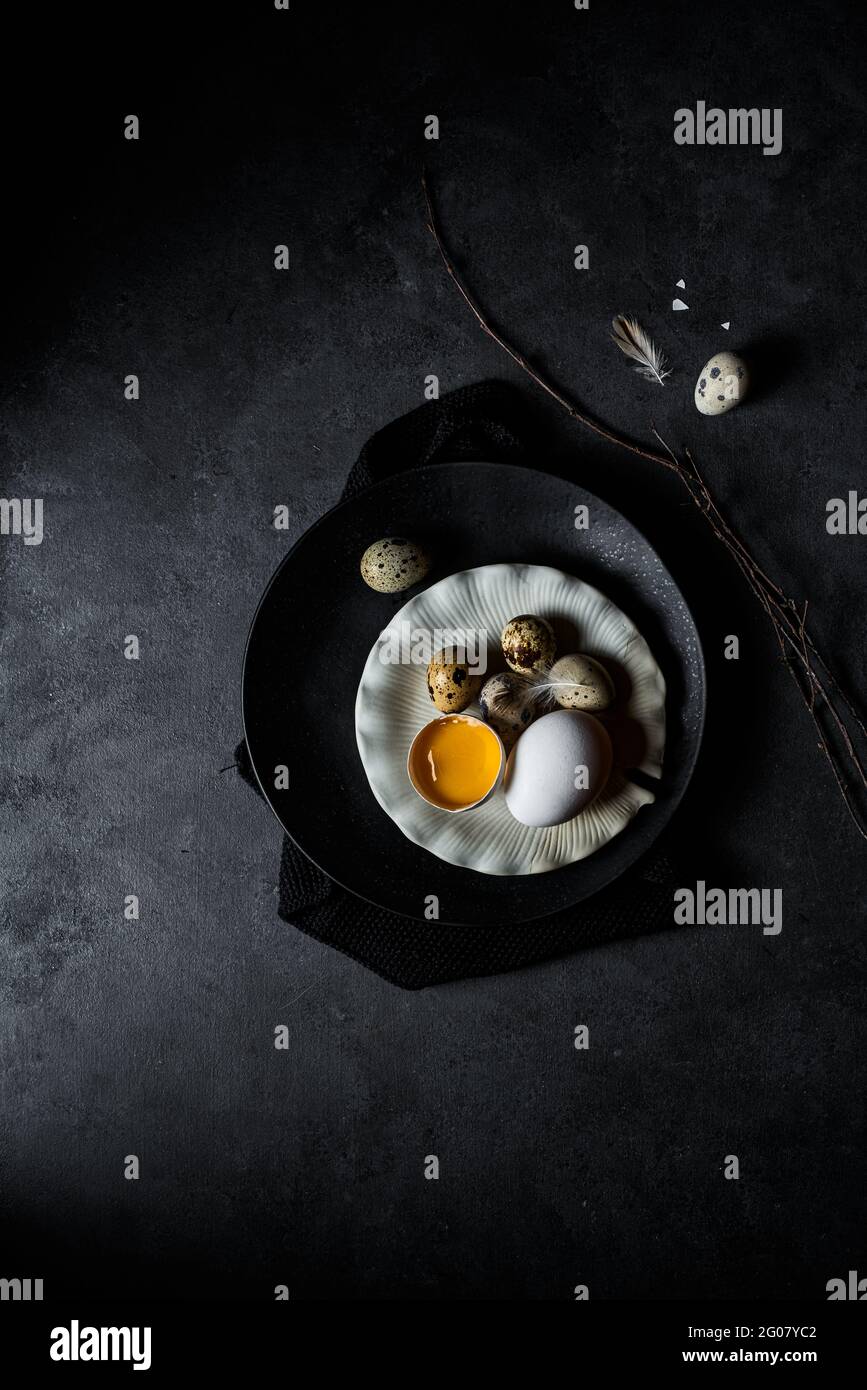 De la composition ci-dessus des oeufs de poulet crus sur les assiettes et caille les oeufs dans le nid sur fond noir Banque D'Images