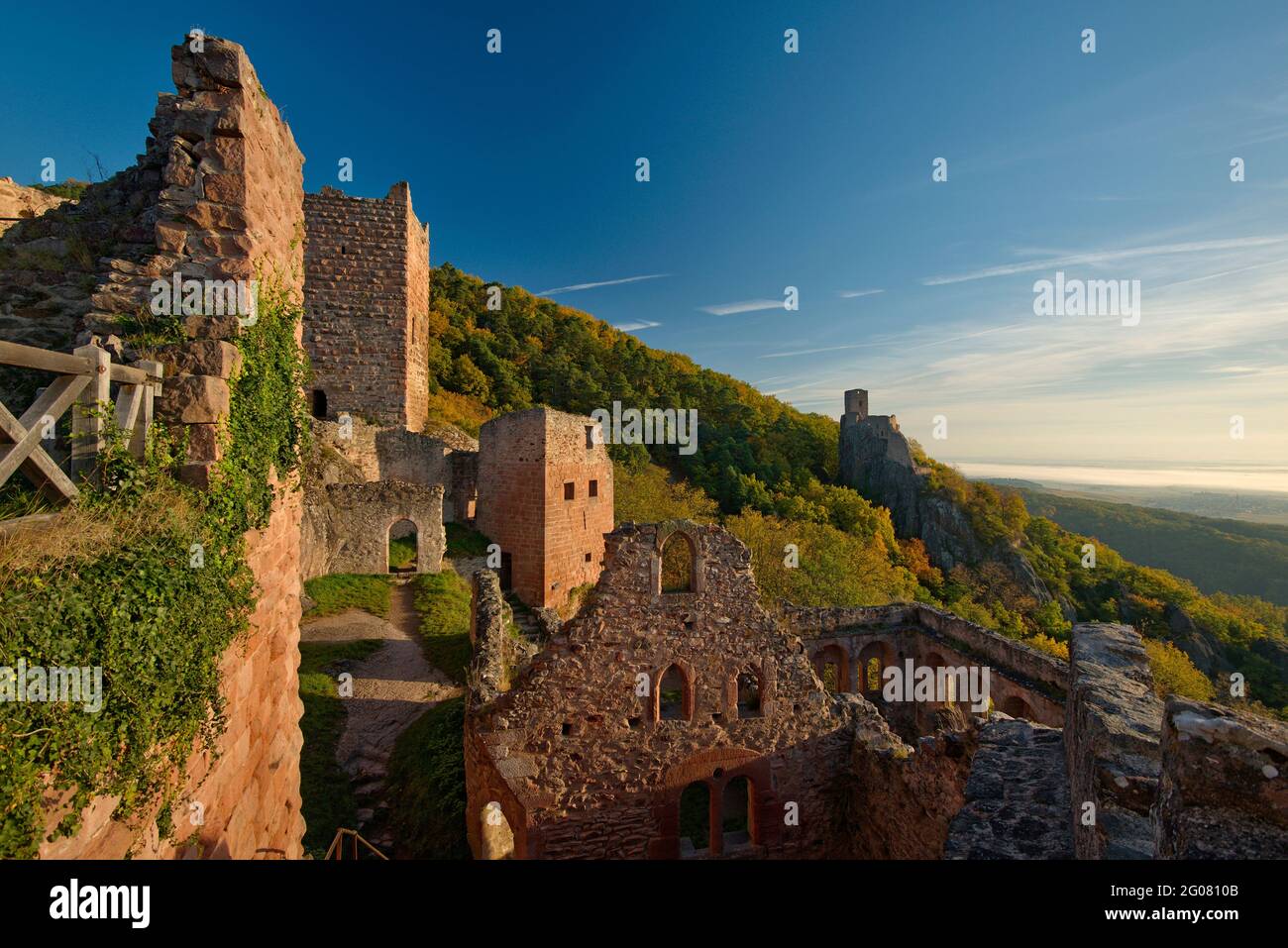 FRANCE, HAUT-RHIN (68), RIBEAUVILLE, ST. CHÂTEAU D'ULRICH AVEC LA CHAPELLE EN PREMIER PLAN ET EN ARRIÈRE-PLAN LE CHÂTEAU DE GIRSBERG Banque D'Images