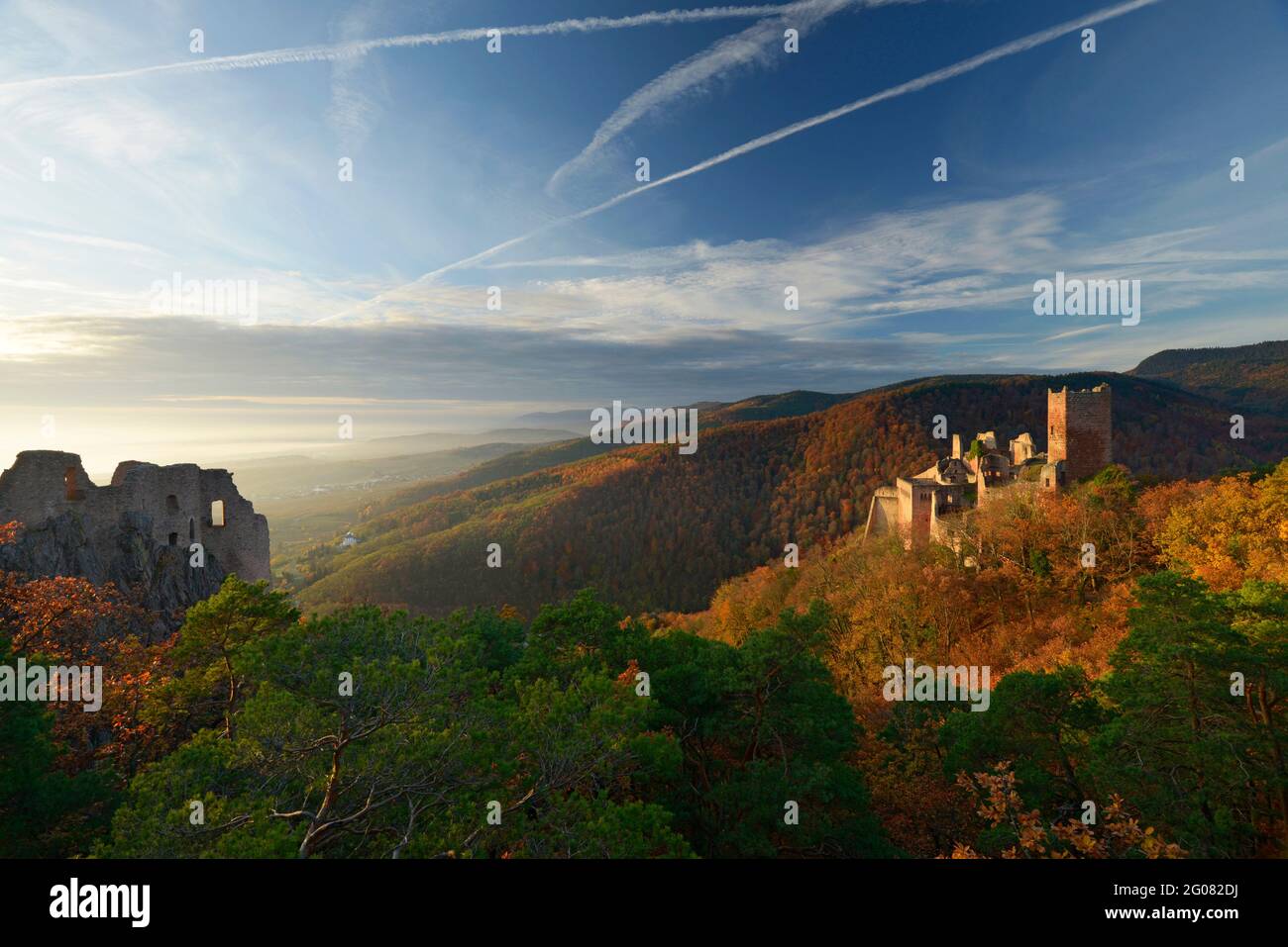 FRANCE, HAUT-RHIN (68), RICEAUVILLE, GIRSBERG ET ST. CHÂTEAUX D'ULRICH EN AUTOMNE RIBEAUVILLE Banque D'Images