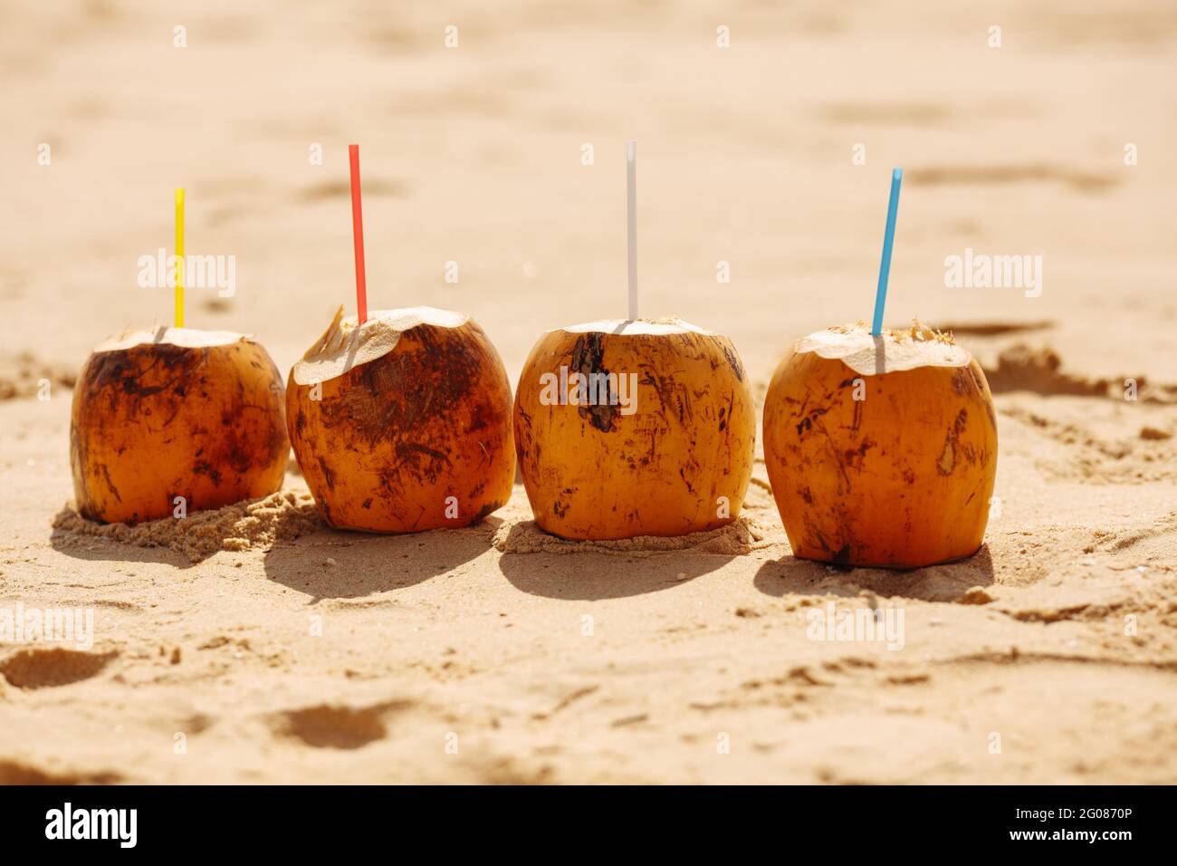 Quatre noix de coco jaunes avec pailles colorées sur la plage de sable Banque D'Images