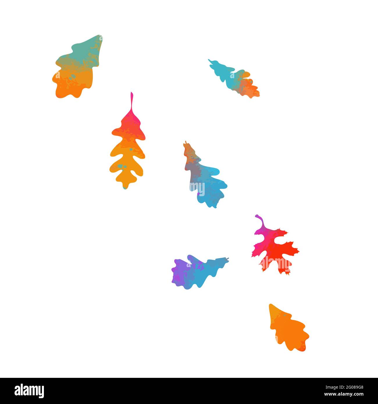 Chutes de feuilles de chêne multicolores. Illustration vectorielle Illustration de Vecteur