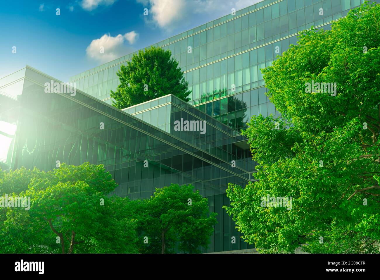 Bâtiment écologique avec jardin vertical dans une ville moderne. Forêt d'arbres verts sur un bâtiment durable en verre. Architecture d'économie d'énergie avec vertical. Banque D'Images
