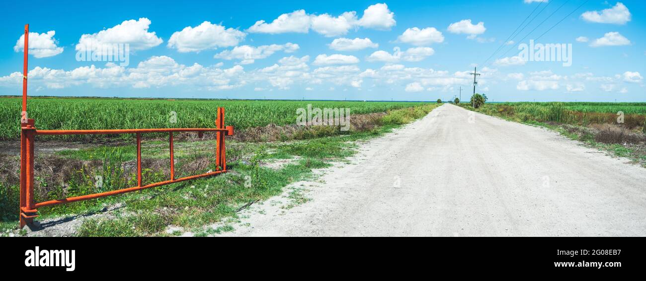 Une porte orange contre un ciel bleu vif avec de beaux nuages blancs bouffis surplombant un immense champ de canne à sucre en floride, un contributeur à la marée rouge Banque D'Images