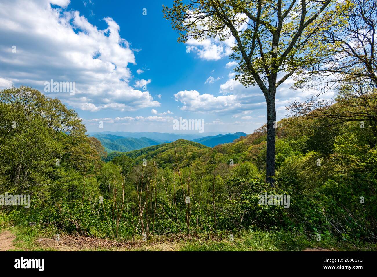 Vue sur les superbes Smoky Mountains depuis la nouvelle route de Gap Banque D'Images