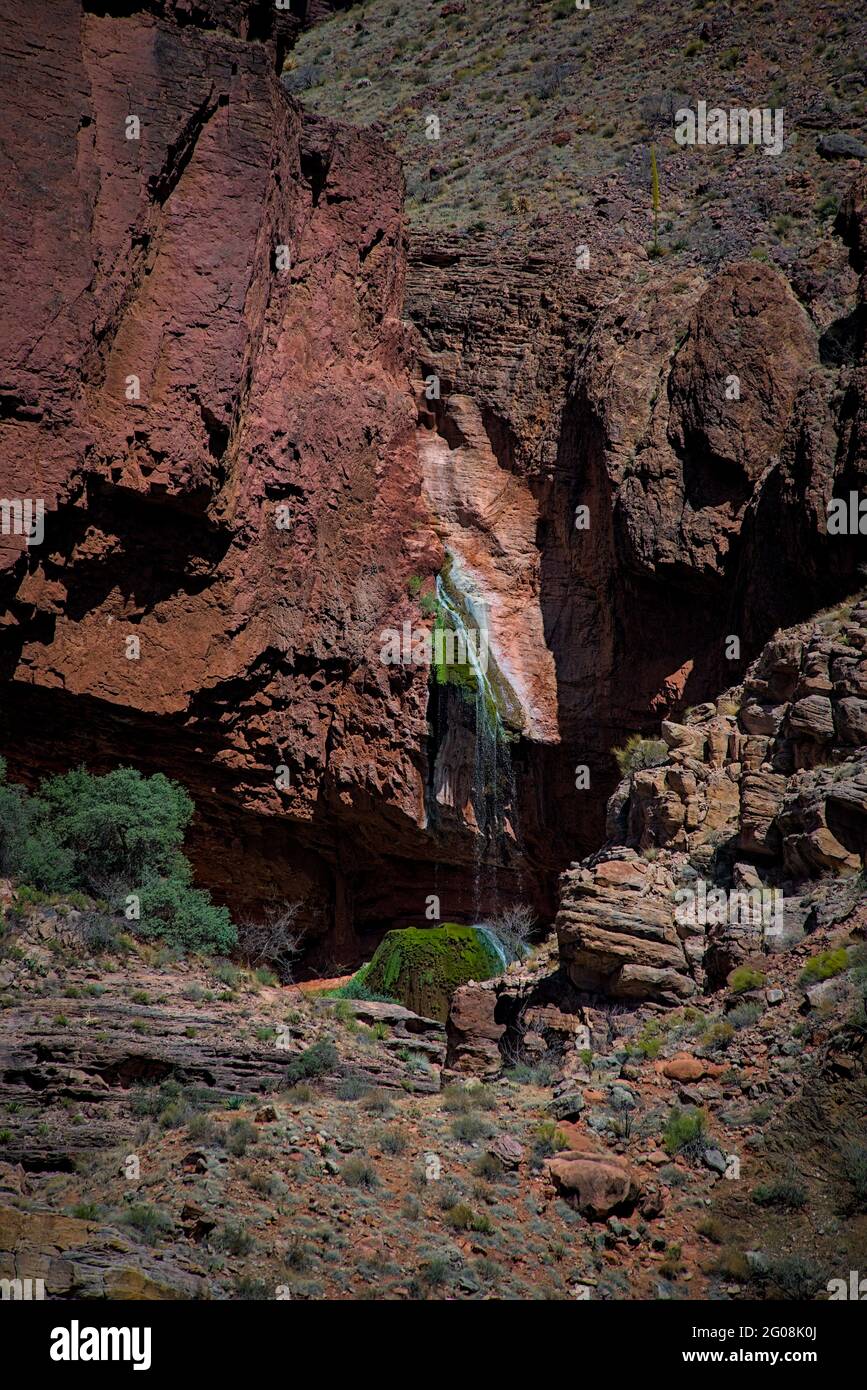 Ribbon tombe une chute d'eau qui coule dans Bright Angel creek au large de la piste nord de kaibab au fond du grand canyon de randonnée au bord du tourisme de destination. Banque D'Images