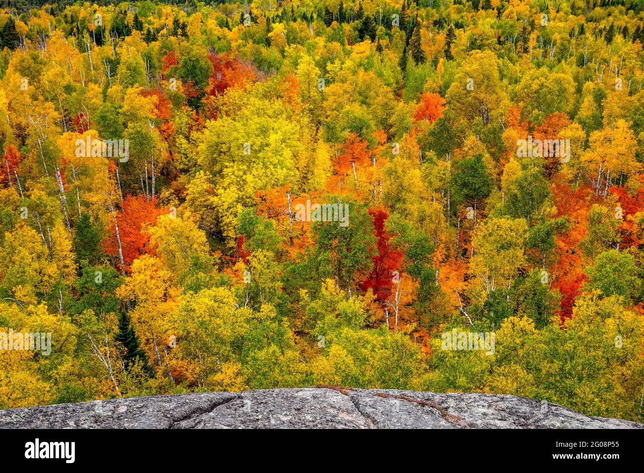 Couleurs d'automne sur Carlton Peak, dans le nord du Minnesota, aux États-Unis Banque D'Images