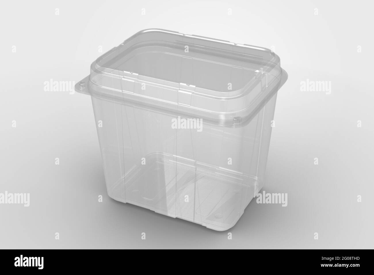 Rendu en 3D un conteneur vide transparent de grande taille en coquille isolé sur fond blanc. Adapté pour le projet de conception. Banque D'Images