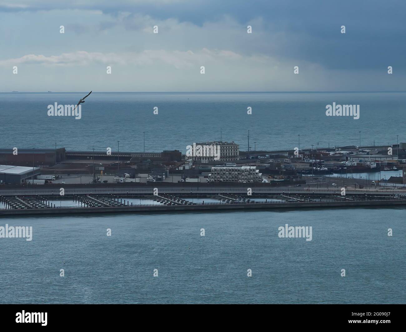 Un mouette solitaire s'éfond dans l'air au-dessus d'une partie du complexe portuaire de Wellington Dock, avec la Manche et un ciel spectaculaire derrière lui. Banque D'Images