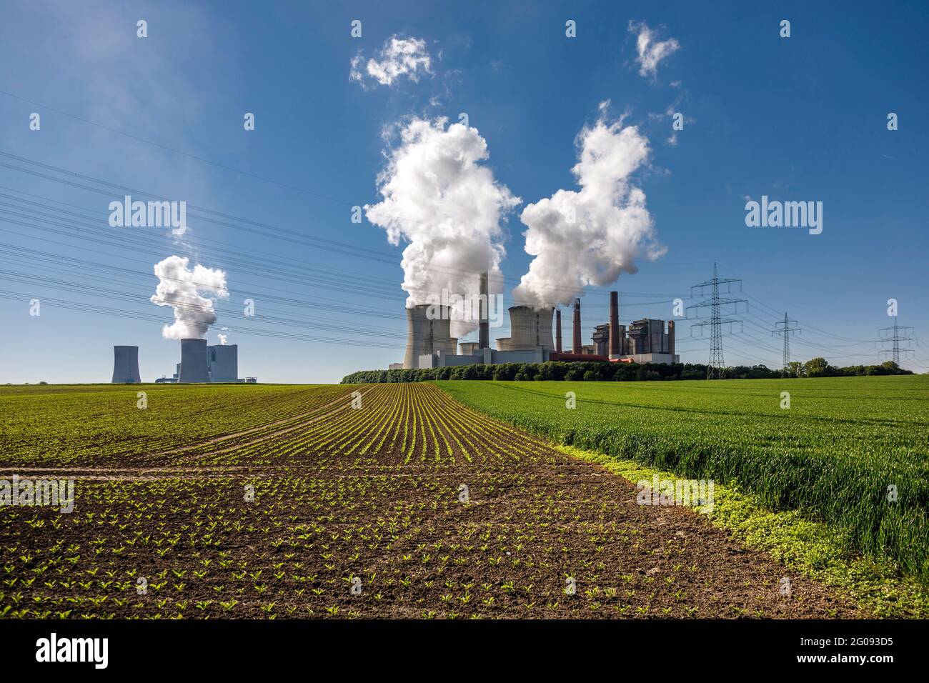 Centrale électrique de Neurath lignite dans le district de Rhenish Banque D'Images