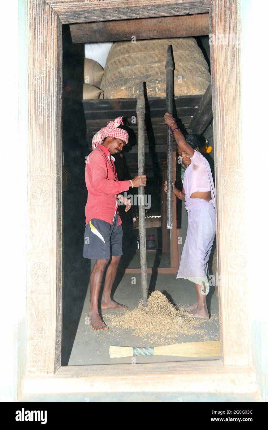 LANJIA SAORA TRIBU. Village couple de broyage, décorticage de riz dans leur maison. Gunpur Village d'Odisha, Inde Banque D'Images