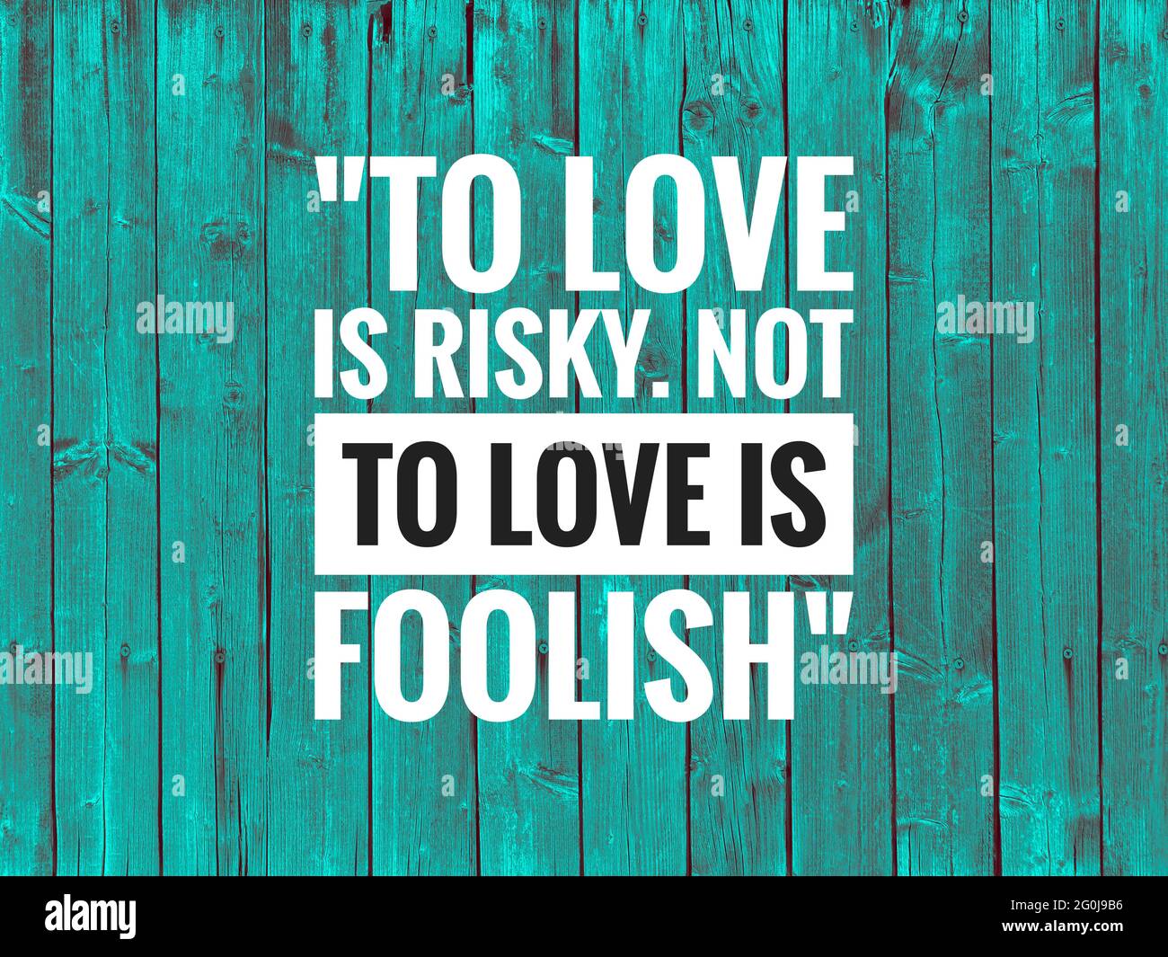 Citation D Amour Aimer Est Risque Ne Pas Aimer Est Stupide Avec Fond En Bois Vert Photo Stock Alamy Citation D Amour Aimer Est Risque Ne Pas Aimer Est Stupide Avec Fond En Bois Vert Photo Stock Alamy