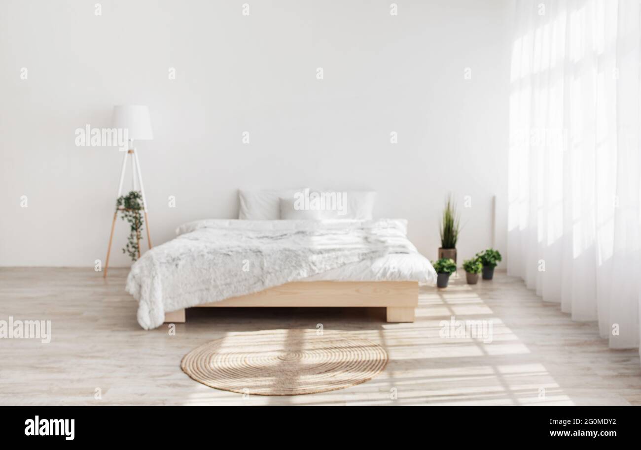 Plantes en pots à l'intérieur de la chambre moderne. Lit double avec oreillers et couverture, plantes, lampe, moquette au sol Banque D'Images