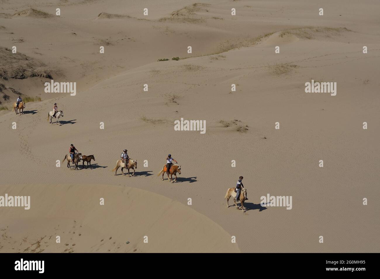 Des cavaliers (Haflinger) sur d'énormes dunes de sable à la plage de Patara, pendant la visite à cheval Banque D'Images