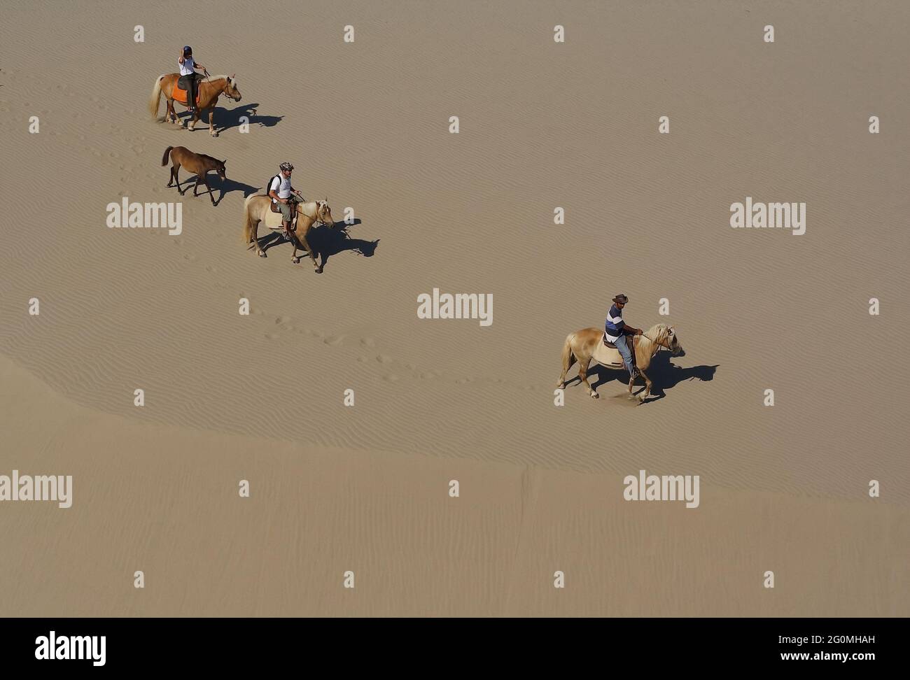 Des cavaliers (Haflinger) sur d'énormes dunes de sable à la plage de Patara, pendant la visite à cheval Banque D'Images