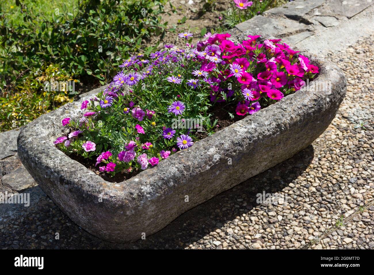 Bac en pierre des plantes de la literie d'été Banque D'Images