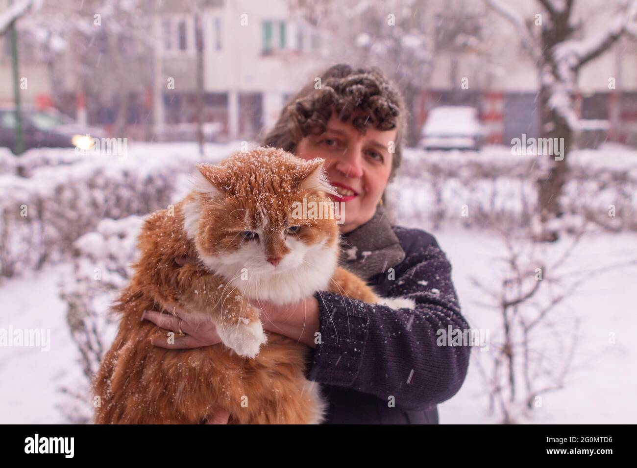 Femme aux cheveux bouclés tenant un chat orange par temps neigeux Banque D'Images