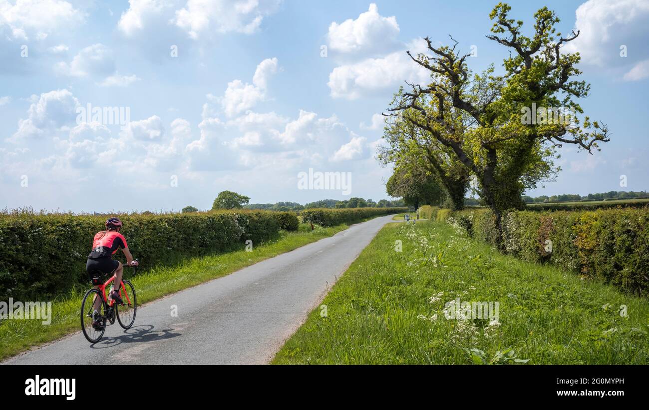 « Freedom », Vale of York, North Yorkshire, Royaume-Uni Banque D'Images