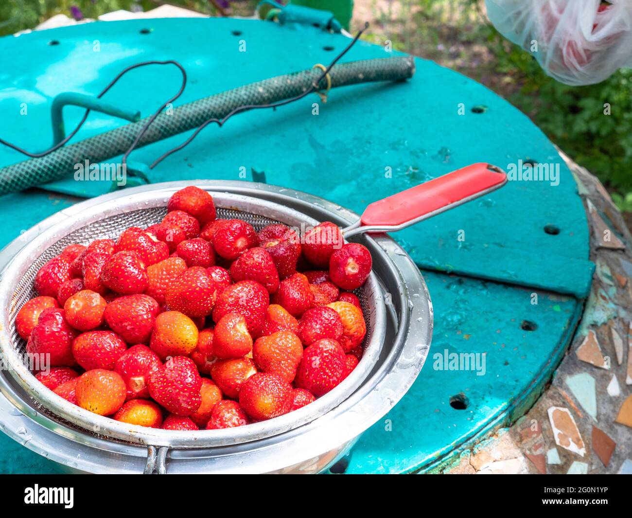 Un bol avec écumoire rempli de baies de fraises mûres fraîches sur un couvercle d'un puits à l'ancienne. Concept d'éco-alimentation saine. Banque D'Images