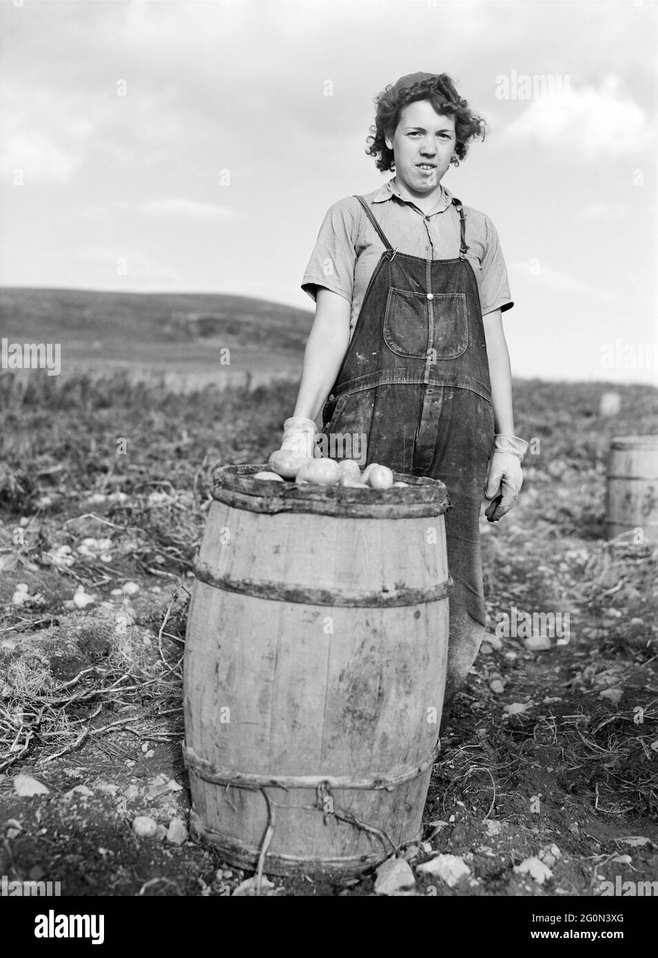 Adolescente de pommes de terre au champ avec un baril de pommes de terre, qui viennent d'être cueillies, Saint David, Maine, Etats-Unis, Jack Delano, Administration américaine de la sécurité agricole, octobre 1940 Banque D'Images