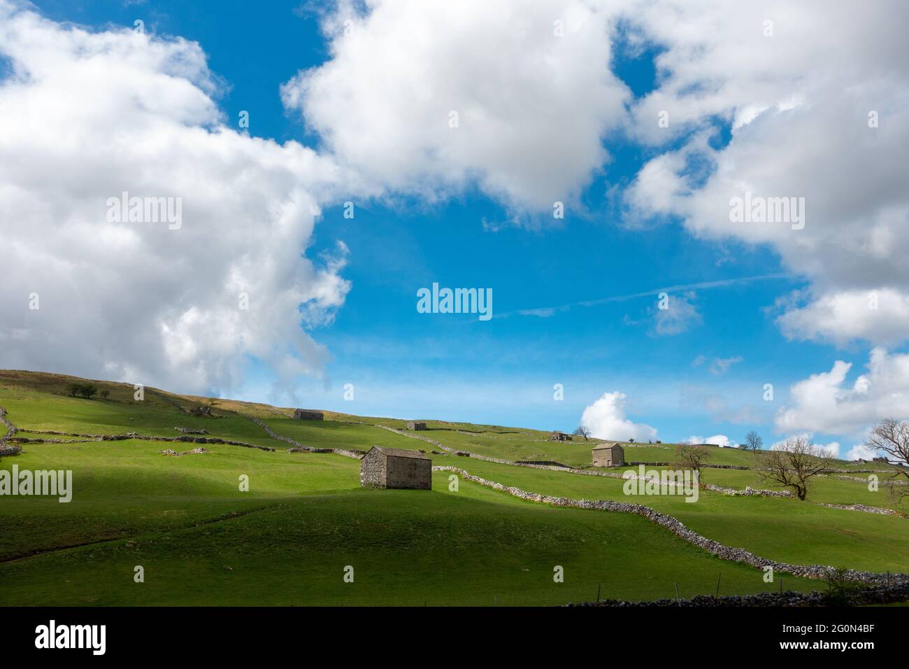 Des granges créant une scène pittoresque sur la colline de Langstrothdale, au large de Wharfedale, dans le parc national de Yorkshire Dales, Royaume-Uni Banque D'Images