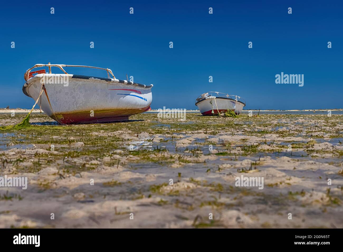 Paysage marin. Belle vue sur le bateau dans la baie de la mer Méditerranée à marée basse sur l'île de Djerba, Tunisie Banque D'Images