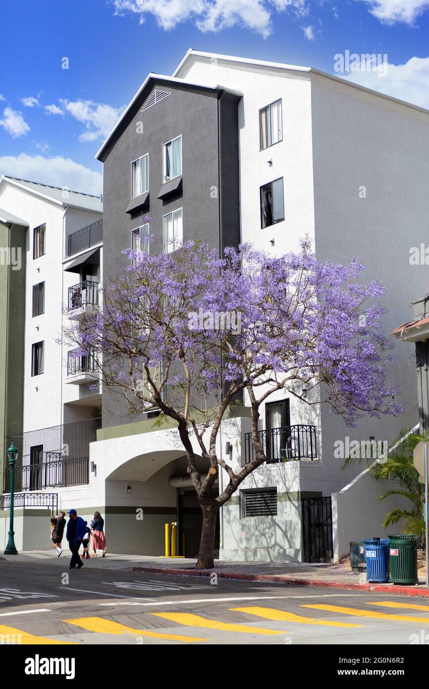 Appartements modernes à San Diego, Californie Banque D'Images