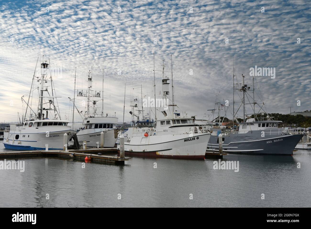 Bateaux de pêche dans le port de Tuna à San Diego, Californie Banque D'Images