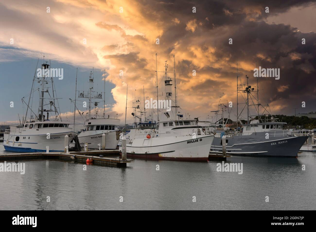 Bateaux de pêche dans le port de Tuna à San Diego, Californie Banque D'Images