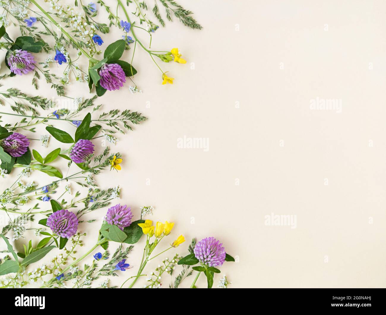 Mélange de fleurs sauvages sur fond beige avec espace de copie. Banque D'Images