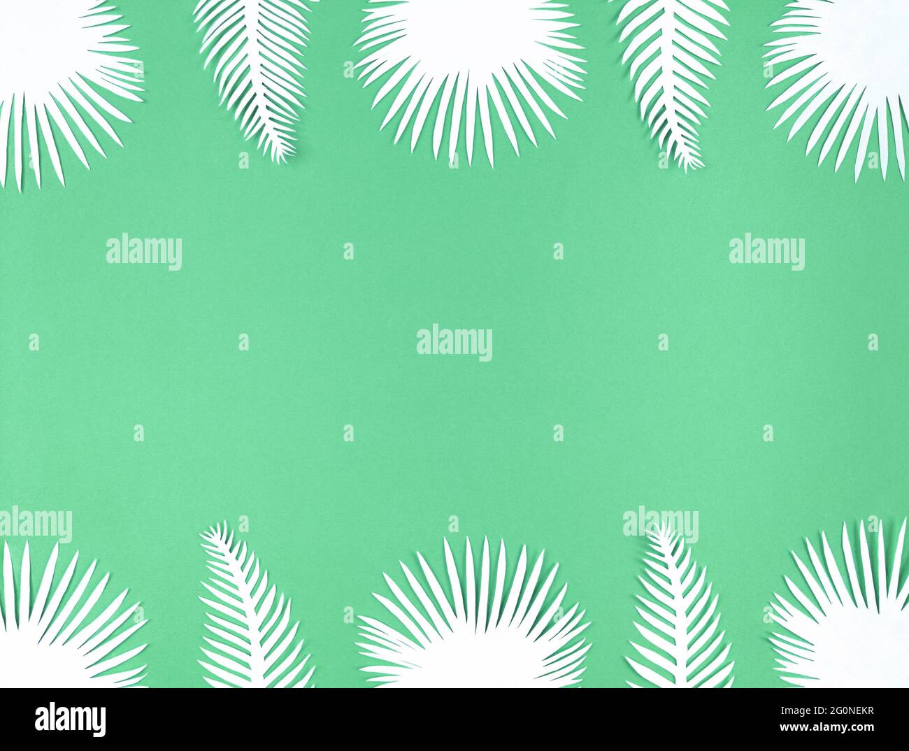 Feuilles de papier tropical sur fond vert, couché à plat avec espace de copie. Banque D'Images