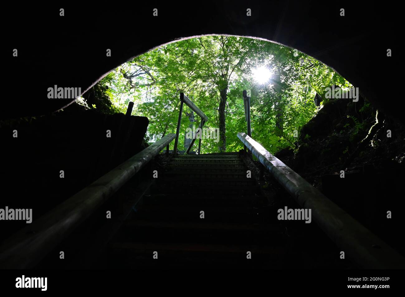 Vue de la grotte avec des escaliers, le soleil brille à travers les arbres. Banque D'Images