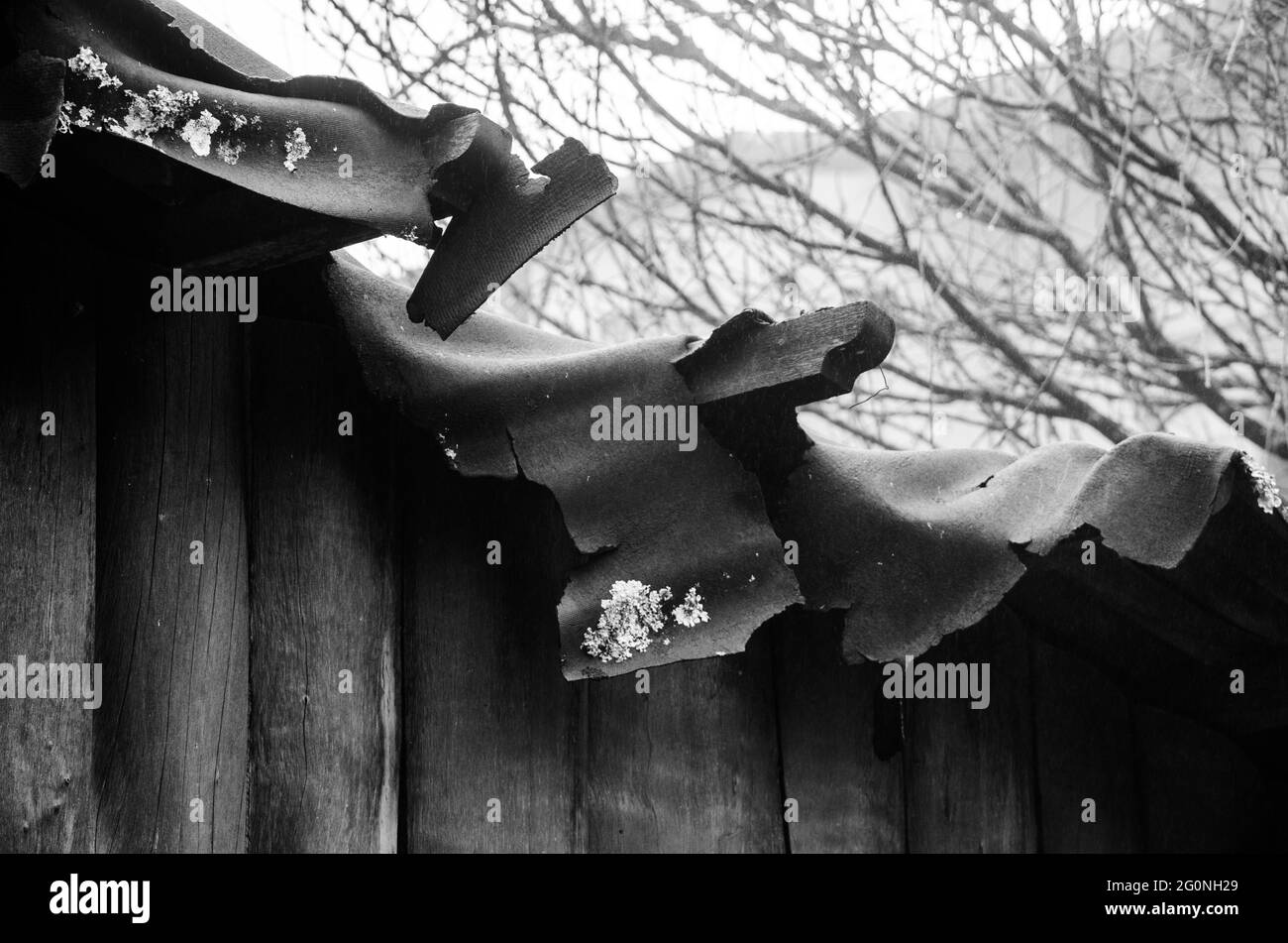 Prise de vue en niveaux de gris d'une vieille clôture abîmée à l'extérieur Banque D'Images