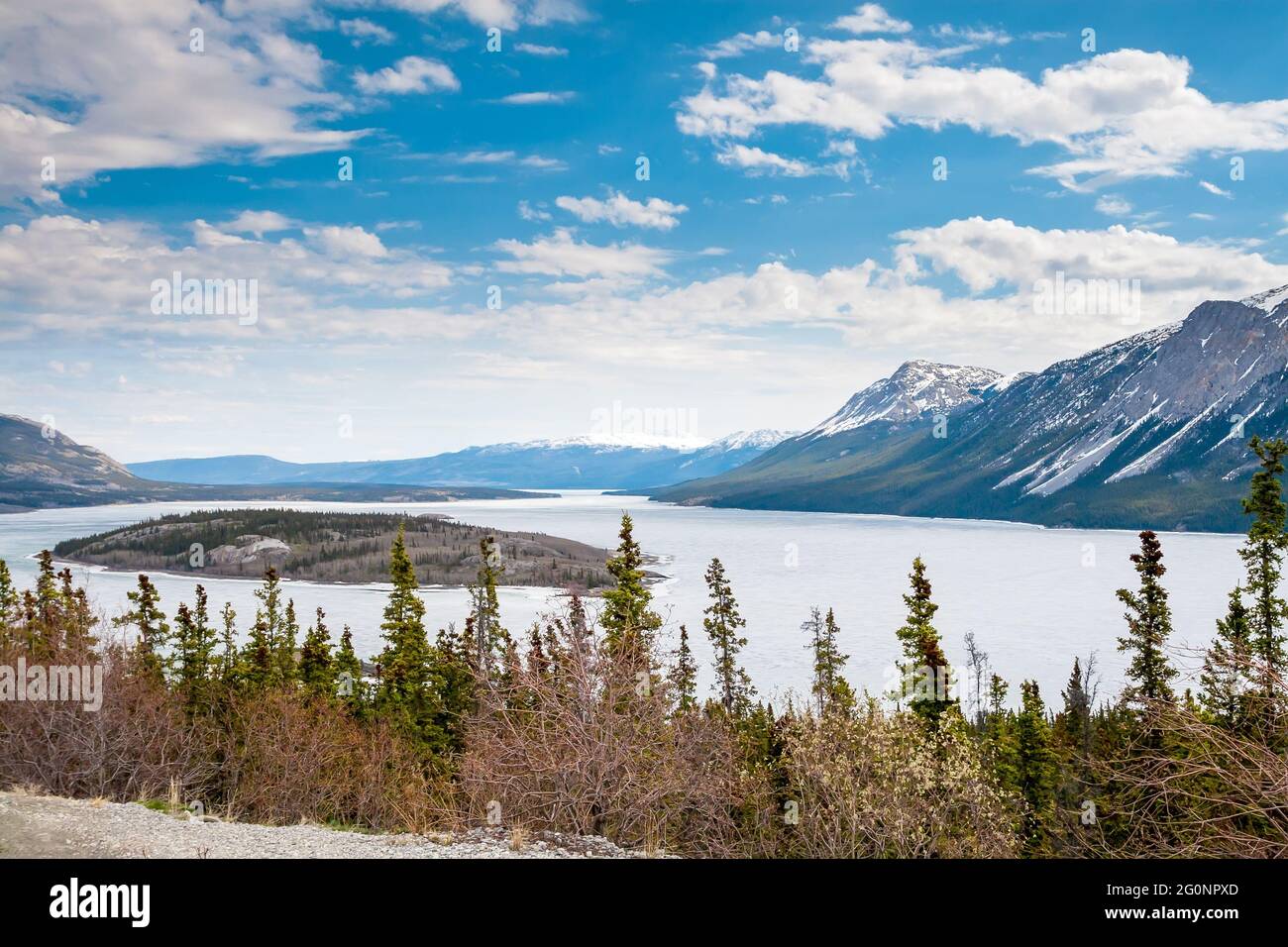 Île Bove et lac Tagish avec des montagnes enneigées en arrière-plan au Yukon, Canada Banque D'Images