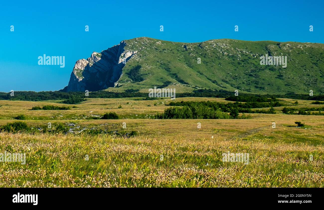 Vue sur le plateau supérieur de Chatyr-Dag en Crimée par une journée ensoleillée. Banque D'Images