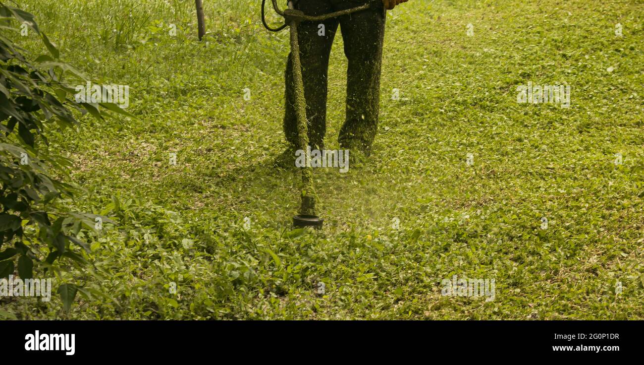 Travail d'été dans le parc. Le jardinier coupe l'herbe. Un homme utilise un coupe-herbe sans couvercle de protection. Banque D'Images