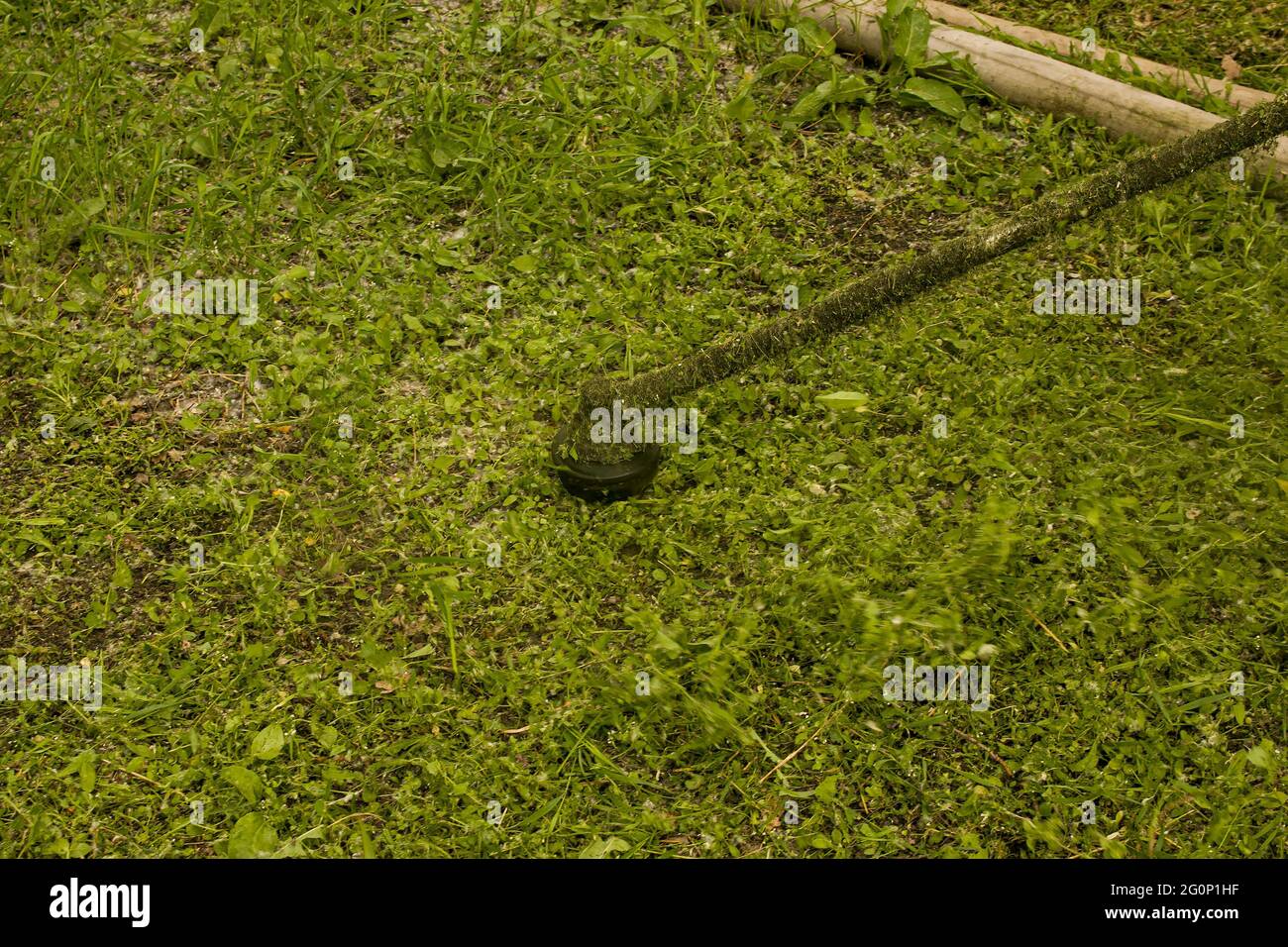 Travail d'été dans le parc. Le jardinier coupe l'herbe. Un homme utilise un coupe-herbe sans couvercle de protection. Banque D'Images