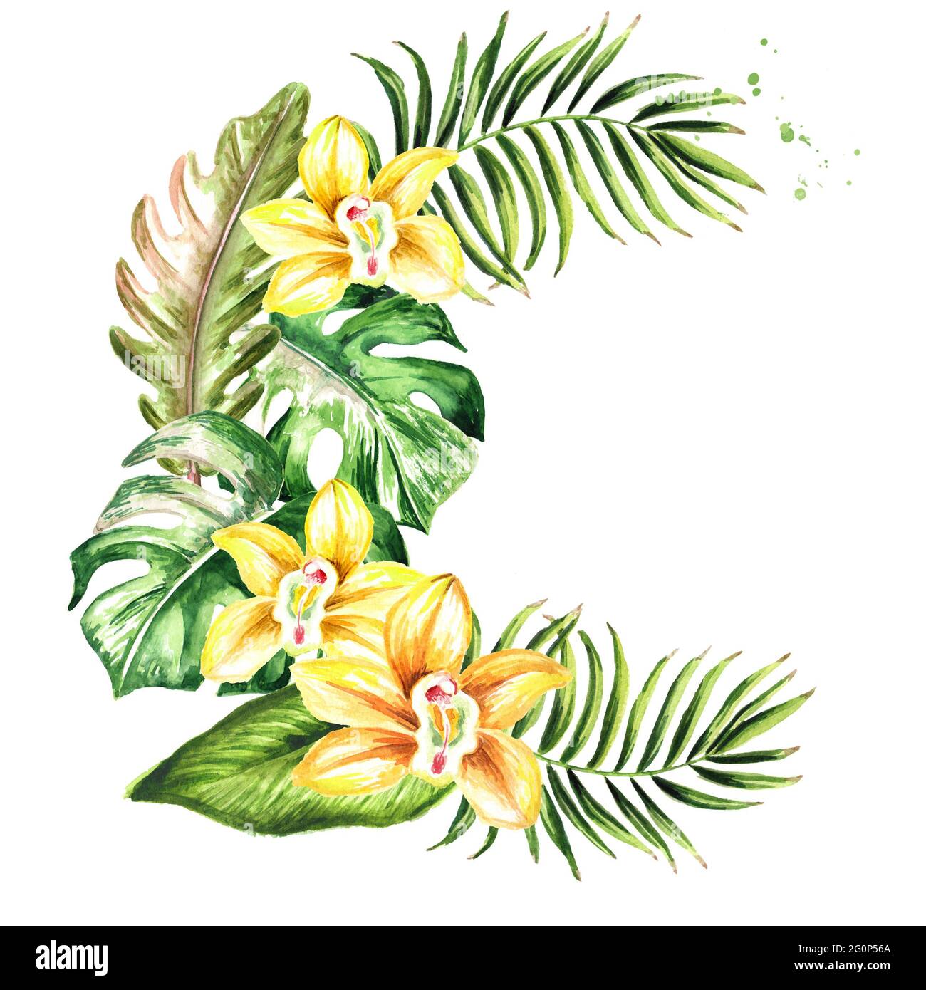 Feuilles et fleurs de plantes exotiques tropicales ou de la jungle bouquet,  Aquarelle dessin à la main, isolé sur fond blanc Photo Stock - Alamy