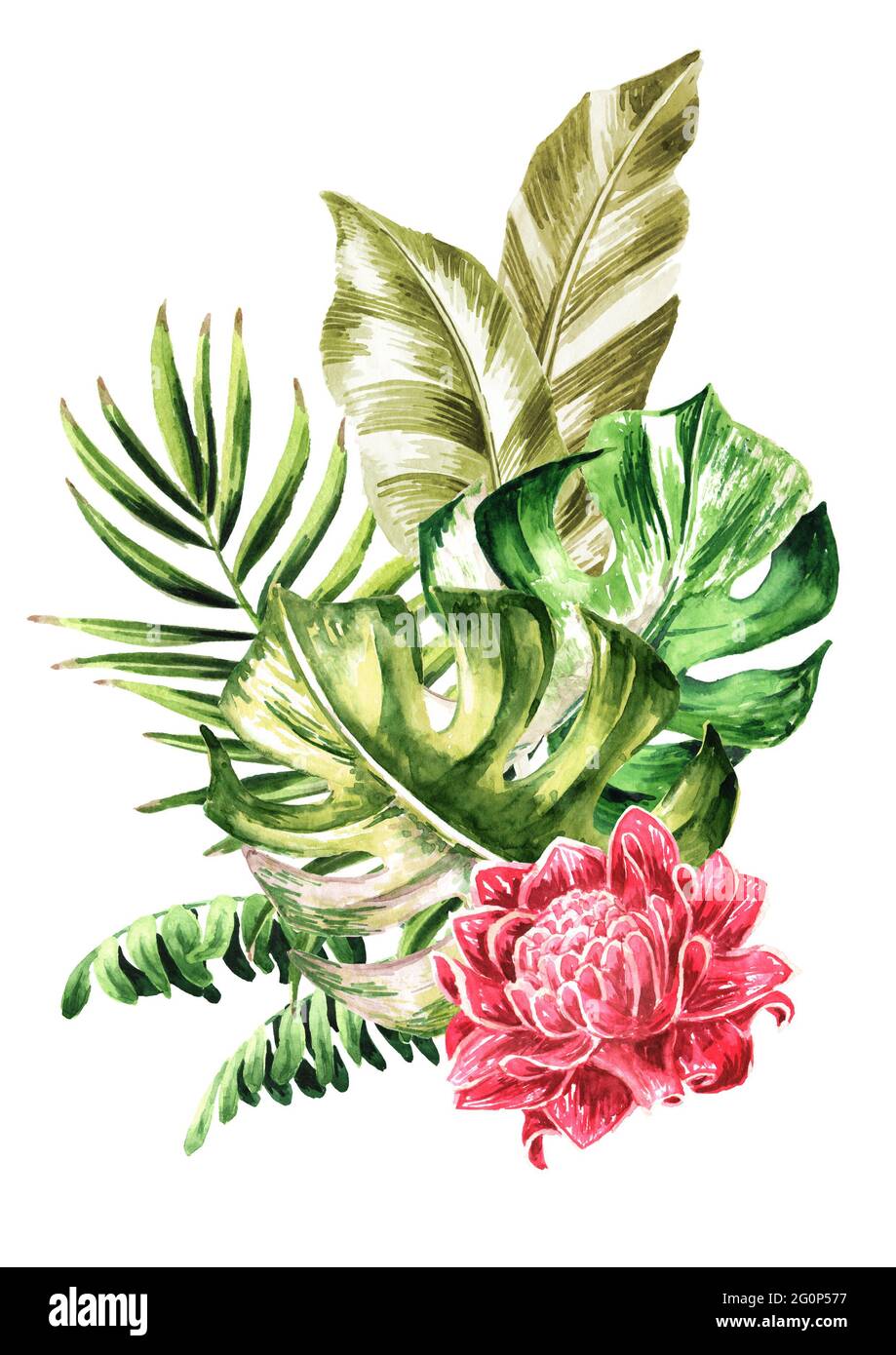 Feuilles et fleurs de plantes exotiques tropicales ou de la jungle . Aquarelle illustration dessinée à la main isolée sur fond blanc Banque D'Images