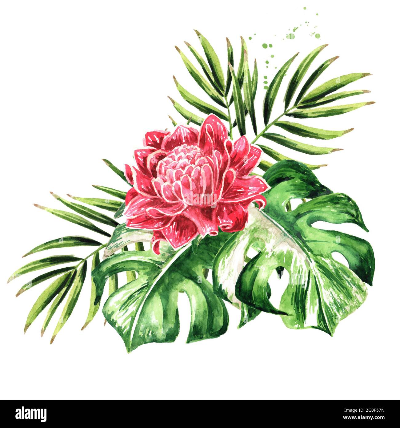 Fleur Exotique Dessin