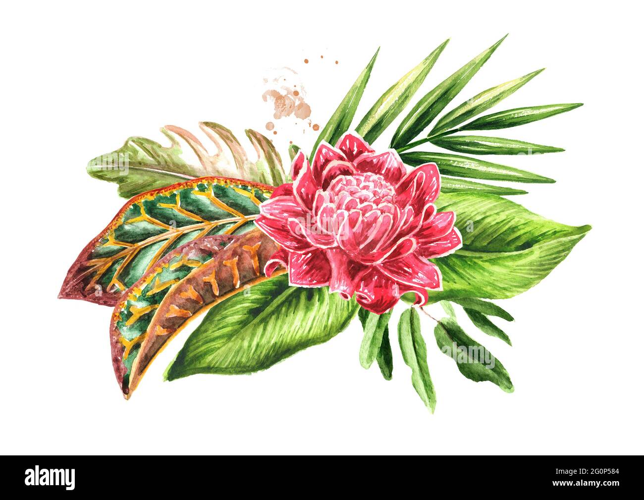 Feuilles et fleurs exotiques de la composition de plantes tropicales ou de  la jungle, Aquarelle dessin à la main illustration isolée sur fond blanc  Photo Stock - Alamy