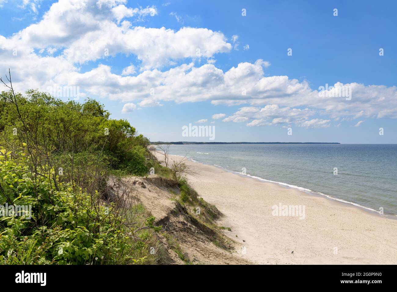 Côte Baltique. Plages de sable de l'Spit de Curonian Banque D'Images