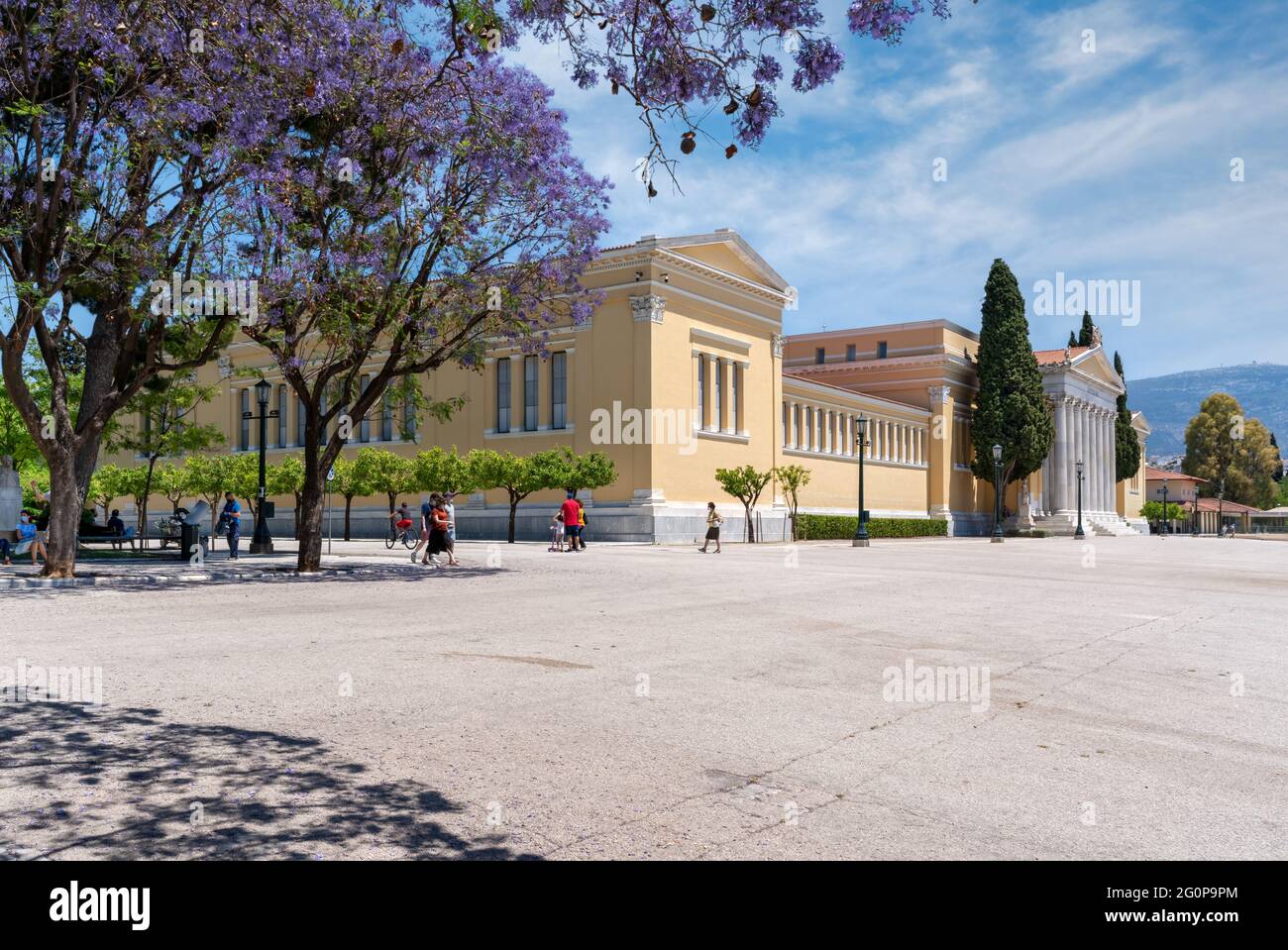 Athènes, Attique, Grèce. Vue panoramique et inclinée du bâtiment néoclassique Zappeion Hall et du parc avec les arbres Jacaranda Banque D'Images