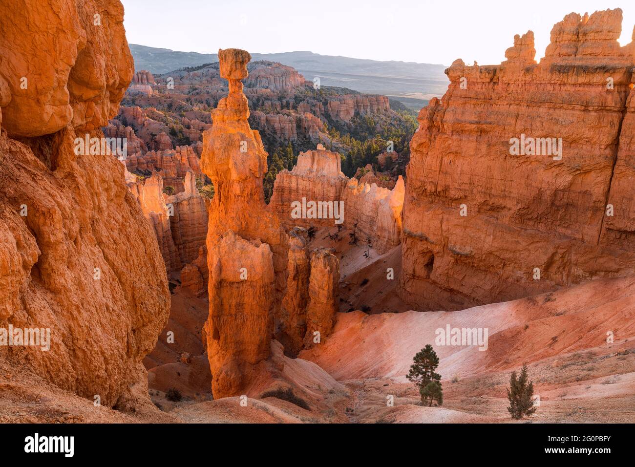 Thor's Hammer, Sunset point, Bryce Canyon, Utah, États-Unis Banque D'Images