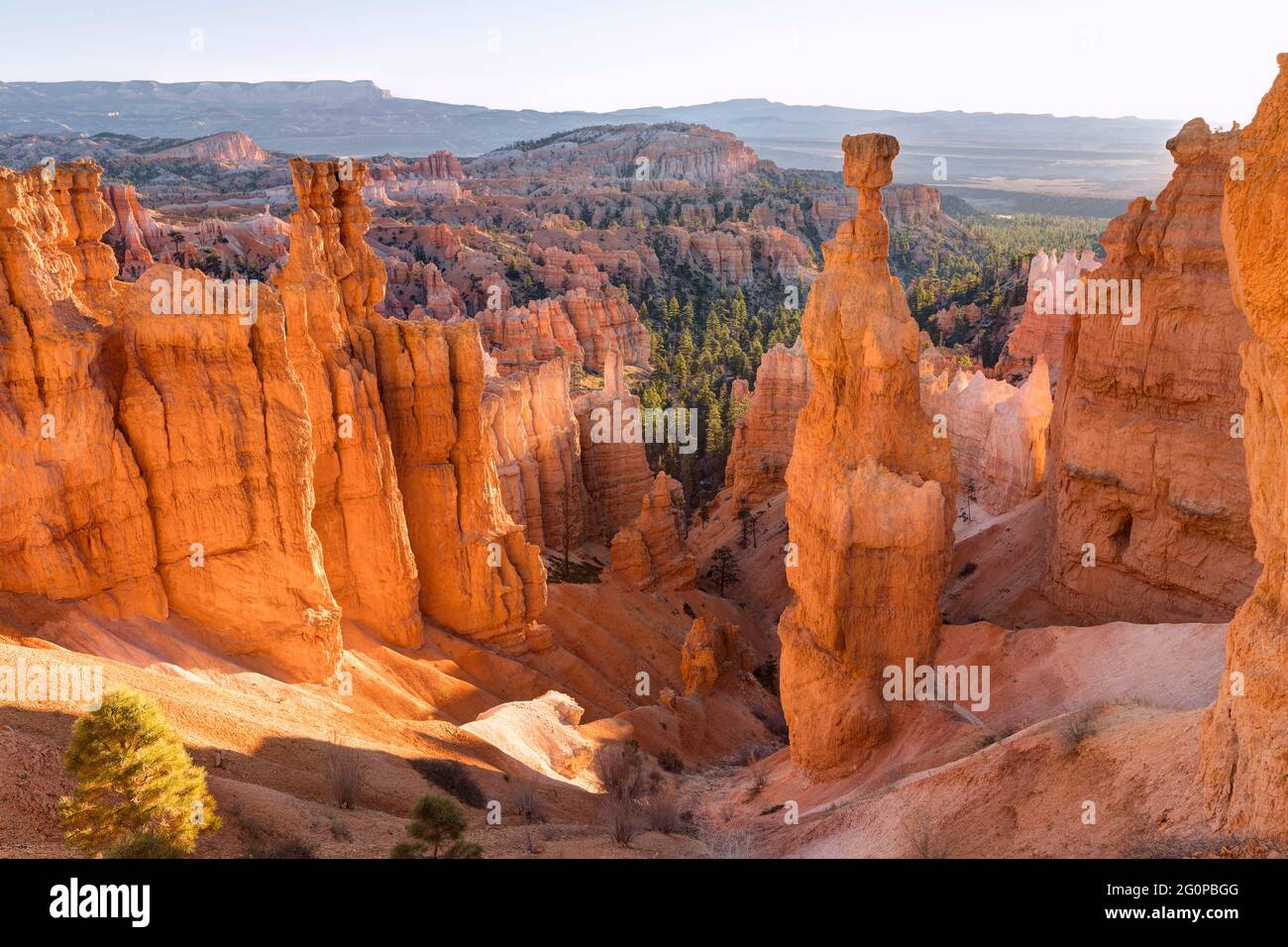 Thor's Hammer, Sunset point, Bryce Canyon, Utah, États-Unis Banque D'Images