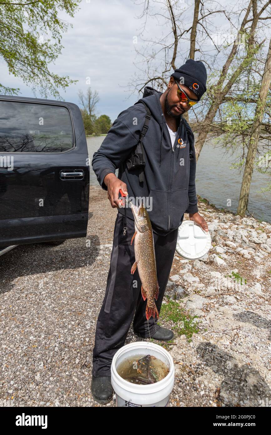 Un pêcheur armé au réservoir de Cedarville, à Leo-Cedarville, en Indiana, vérifie ses prises, y compris ce Pike du Nord. Banque D'Images