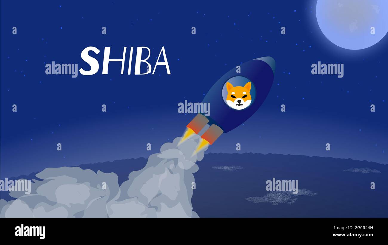 Shiba vole à la lune en vaisseau spatial. Une fusée avec un museau de chien s'envole du sol et se précipite vers le haut. Symbolise le Shiba Inu SHIB ou DOGE Banque D'Images