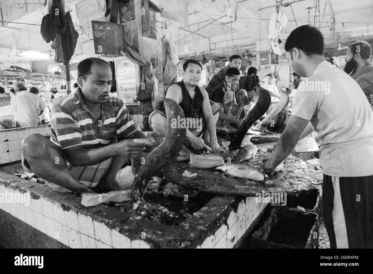 Un marché intérieur de poissons au marché de Karwan Bazar à Dhaka, au Bangladesh. Banque D'Images