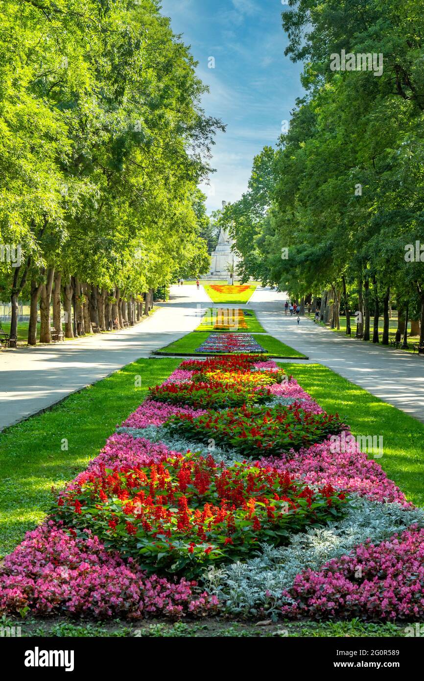 Fleurs de Primorski Park, Varna, Bulgarie Banque D'Images