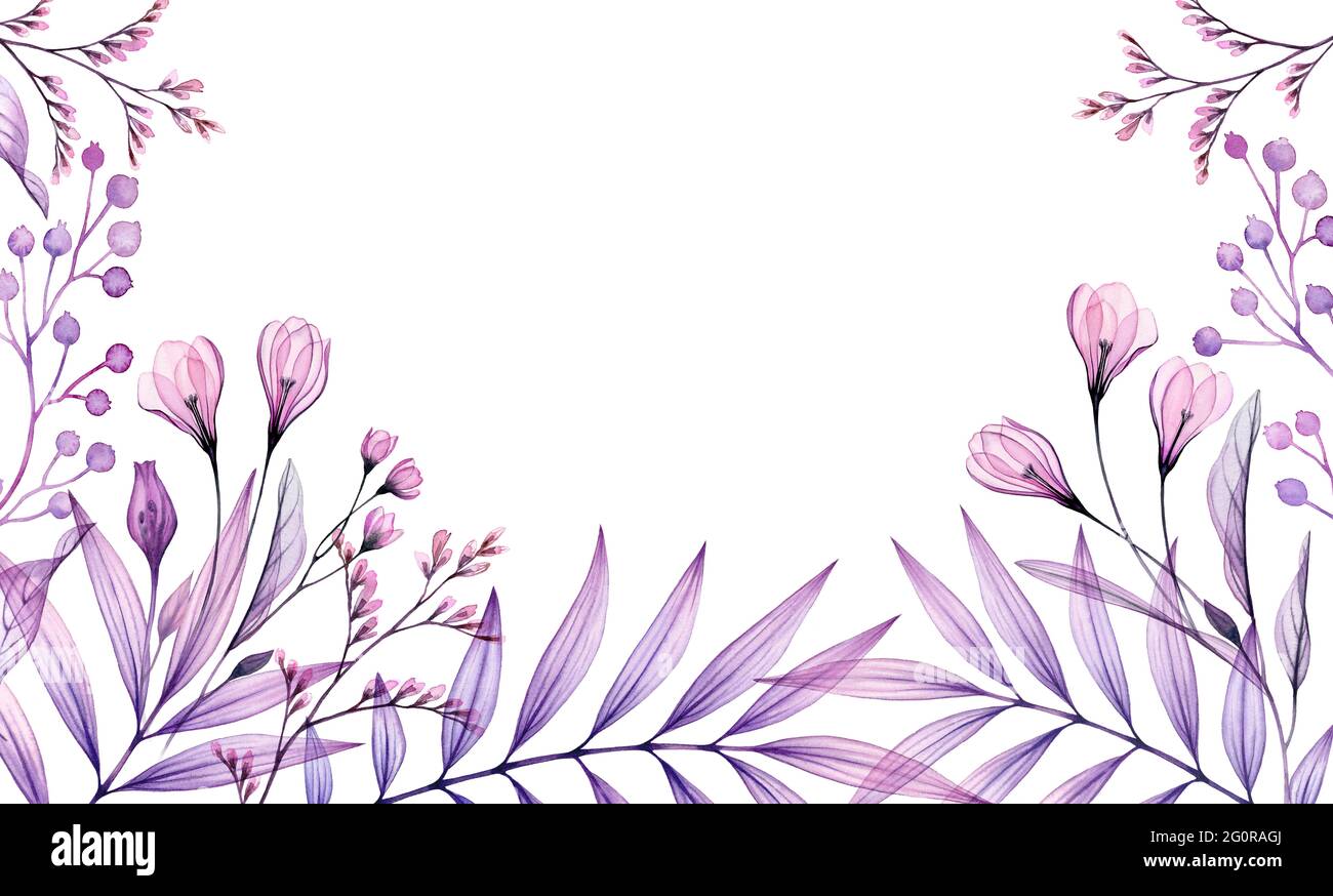 Fond floral aquarelle en violet. Cadre horizontal avec emplacement pour le texte. Bannière peinte à la main avec fleur violette transparente et feuilles tropicales Banque D'Images