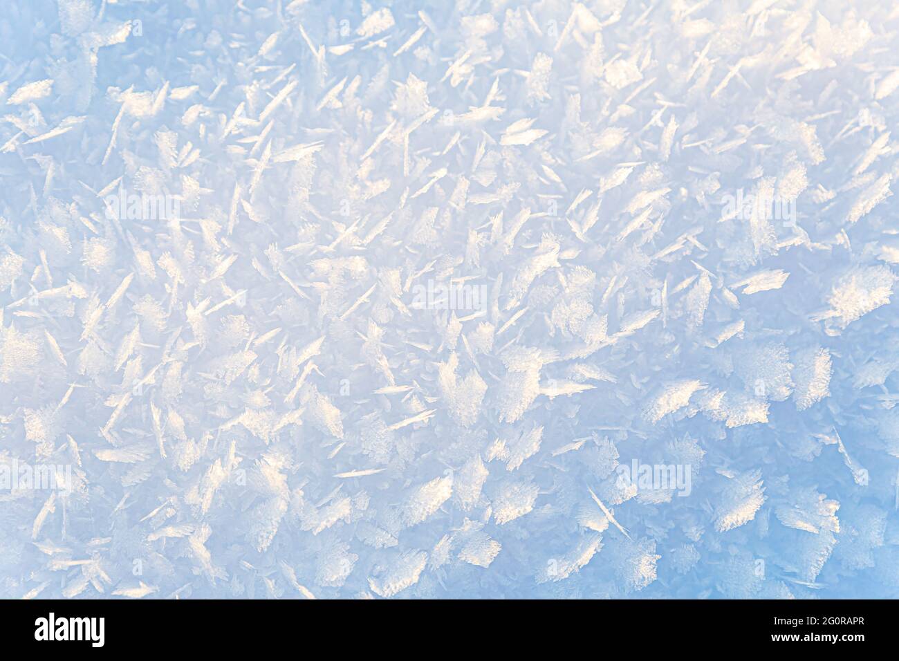 Magnifique gradient, fond naturel d'hiver de glace et de cristaux de neige illuminés par le soleil. Banque D'Images